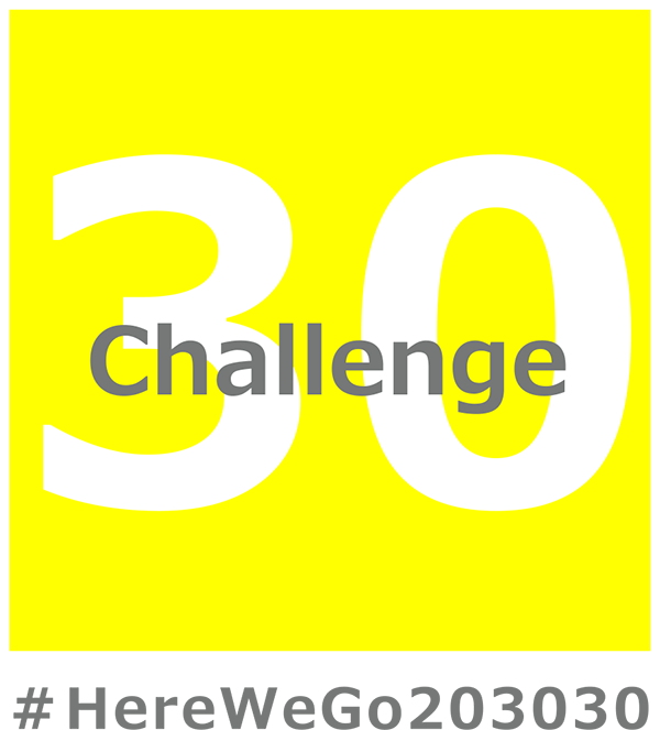 Japan Business Federation (Nippon Keidanren) “Here We Go 203030”