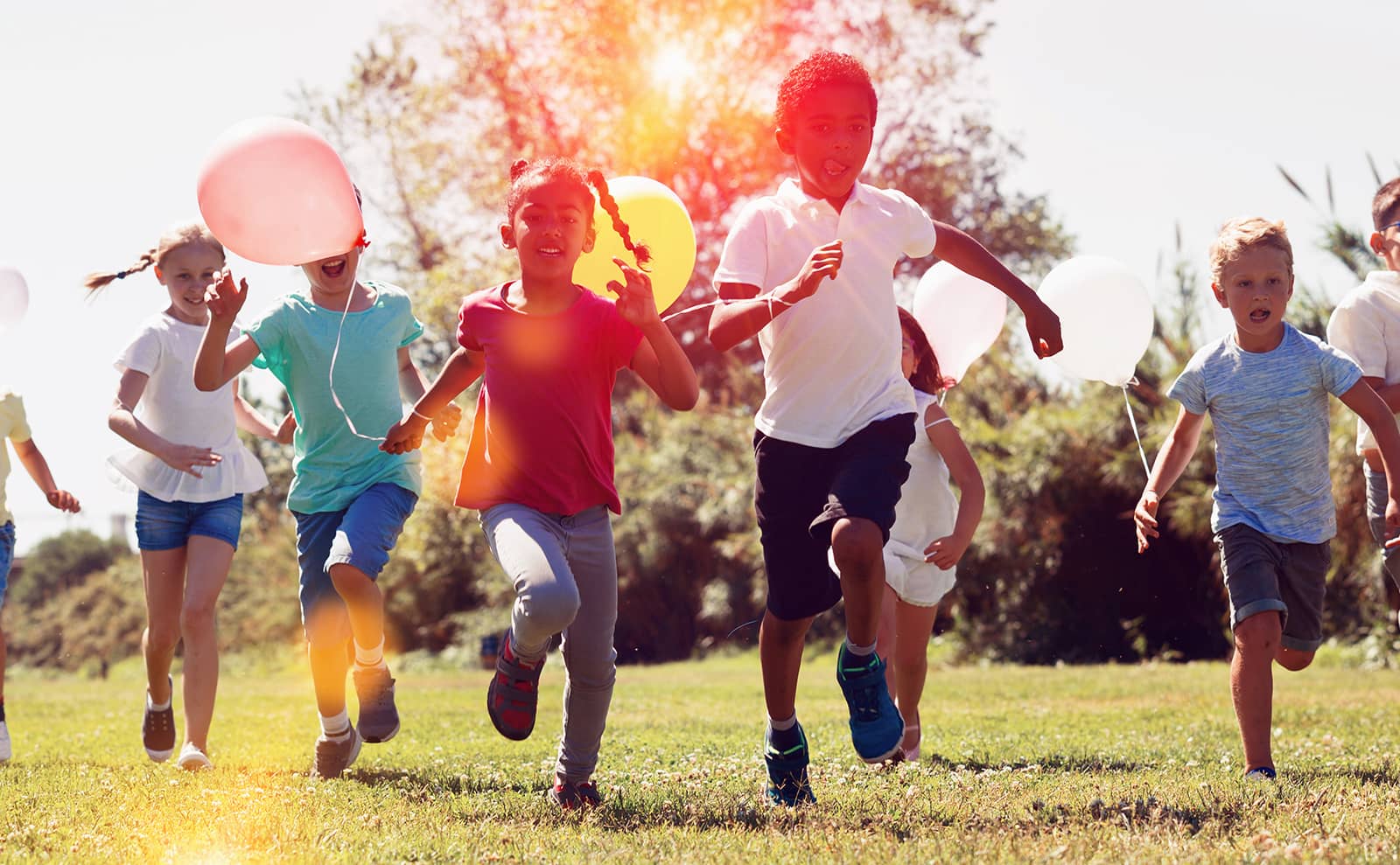 社会への取り組み