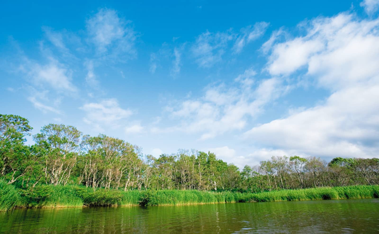 環境への取り組み