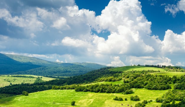 Sustainability Management