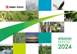 INTEGRATED REPORT 2023