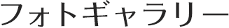 フォトギャラリー