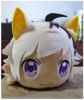 最後に。昔、クレーンゲームで獲得したぬいぐるみを1枚。
                キャラの名前は分かりませんが、今は私の抱き枕となっています。